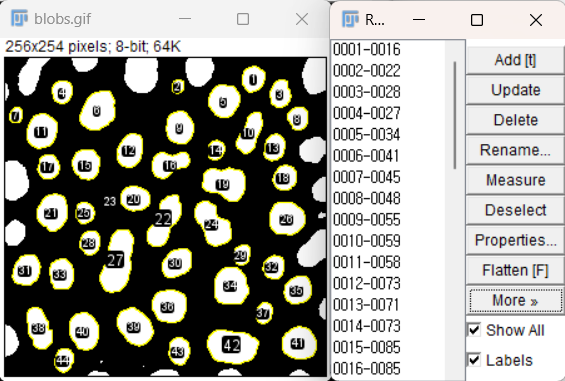 Blobs analyzed