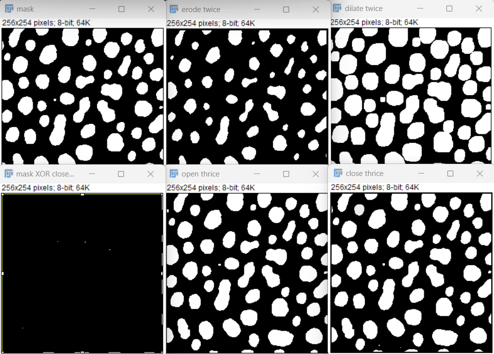 Morphological operations on a blobs mask.