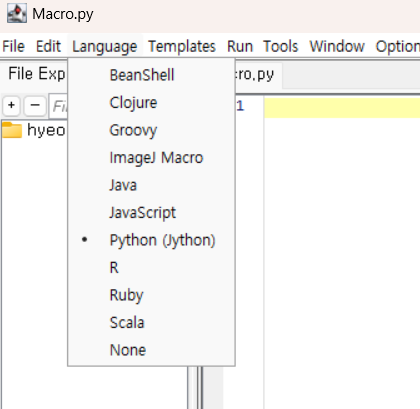 Changing macro language