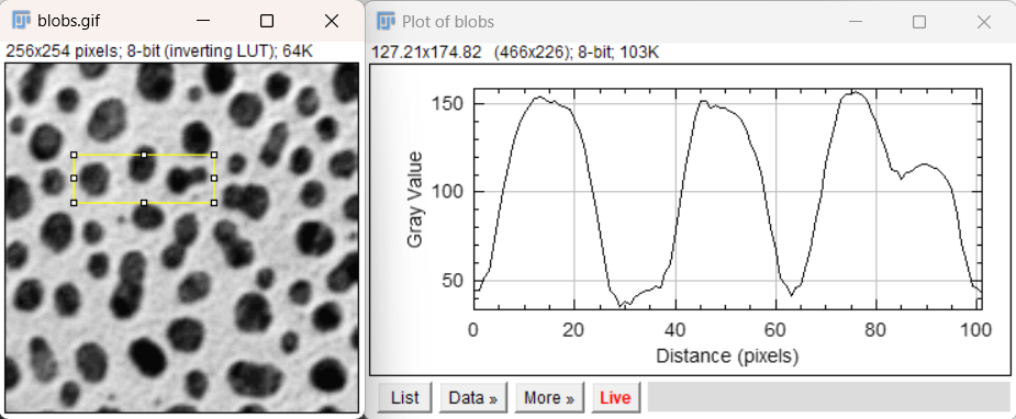Profile from rectangular selection atop blobs