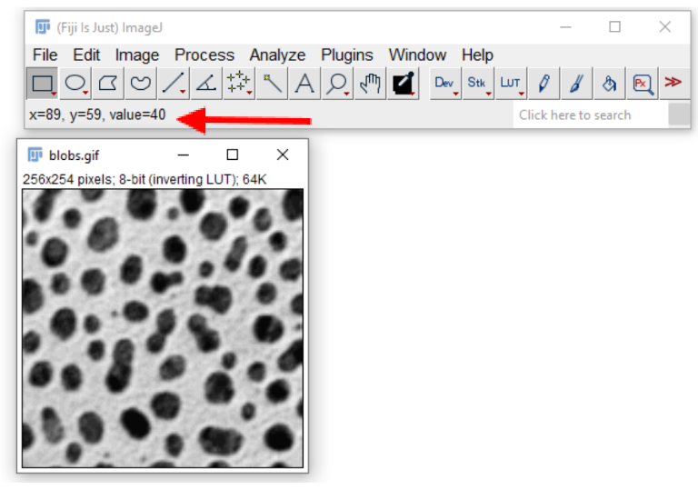 Status bar showing pixel values for blobs.